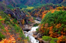 철도·고속도로로 가까워진 울진, 가을·겨울 여행지로 주목, 국내여행, 여행정보