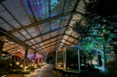 함평엑스포공원 자연생태관, ‘빛의 우주정원’ 새 단장, 국내여행, 여행정보