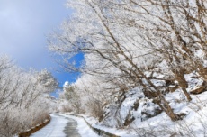 단양 소백산 주말 눈 예보, 순백의 장관 펼져진다. , 국내여행, 여행정보