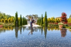 곡성군, 봄의 시작에서 곡성을 만나다., 국내여행, 여행정보