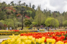 순천만국가정원, 화려한 정원과 함께 봄의 서막 연다! , 국내여행, 여행정보