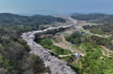 3월, 봄바람 따라 떠나는 고흥 여행, 국내여행, 여행정보