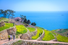 국민쉼터 남해‘황홀한 꽃대궐이 펼쳐진다!’ 남해로 가 봄?, 국내여행, 여행정보