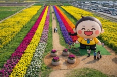 ‘맹방, 봄으로 활짝 피다’, 삼척맹방유채꽃축제’ 4월 3일 개막, 국내여행, 여행정보