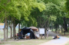 명품 휴양지 영동 송호관광지, 봄과 함께 4월 3일 야영장 개장, 국내여행, 여행정보