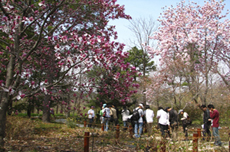 포항 기청산식물원, ‘꼭 가봐야 할 수목원 10선’ 3년 연속 선정 쾌거, 국내여행, 여행정보
