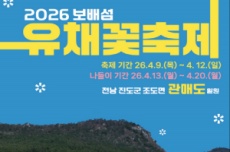 진도군, 특별한 섬 여행 ‘보배섬 유채꽃 축제’ 개최, 국내여행, 여행정보