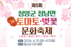 청양군, 토마토·벚꽃 문화축제’ 10일 화려한 개막, 국내여행, 여행정보