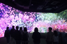 경주시, ‘라원’개장 3일 만에 7천명 몰려... ‘핫플’ 급부상, 국내여행, 여행정보