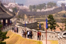 정조가 만들고 수원이 지킨 수원화성 성곽길과 행궁!, 국내여행, 여행정보