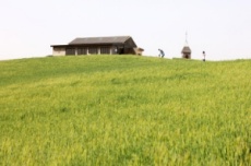 보령시, 드라마·영화 속 그 장소! 봄나들이 여행지로 제격, 국내여행, 여행정보