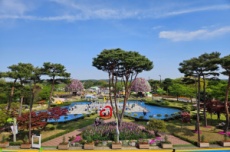 함평군, 봄맞이 다양한 관광 인센티브 확대, 국내여행, 여행정보