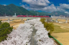 “여행은 머무는 것”울진, 체류형 관광 선언, 국내여행, 여행정보