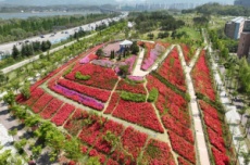 하남시, 다시 시작된 봄, 하남에서 만나는 핑크빛 로맨스] , 국내여행, 여행정보