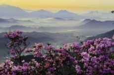 광양시, 봄 정취 더해 '백운산국사봉철쭉축제’ 25~26일 개최, , 국내여행, 여행정보