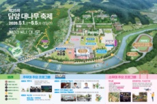 '천년의 대숲, 빛으로 피어난다' 담양 대나무축제, 5월 1일 개막, 국내여행, 여행정보