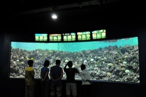 바다 곁에서 바다를 만나다, 화진포해양박물관