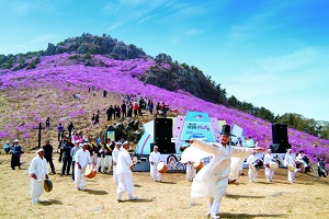 진달래, 진분홍빛으로 봄의 산을 밝히다