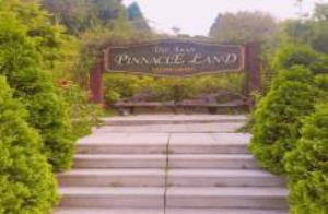 사계절 볼거리가 가득한 피나클랜드(Pinnacieland),국내여행,음식정보