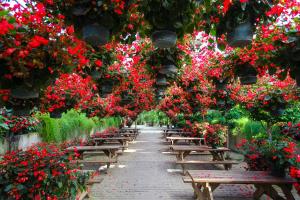 사계절 내내 아름다운 꽃밭, 아산세계꽃식물원,충청남도 아산시