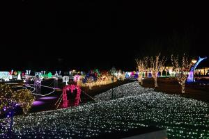 별빛, 겨울밤을 수놓다, 울산대공원 장미원 빛 축제 ,국내여행,음식정보