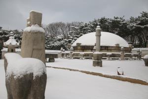 선정릉, 눈 내린 모습에서 역사를 찾다 ,서울특별시 강남구