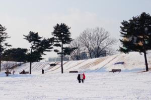 서울에서 떠나는 눈꽃여행, 올림픽공원