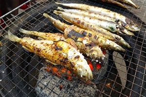 양미리·도루묵! 이 맛에 속초에 온다~2018 속초 양미리·도루묵 축제