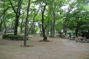 비장했던 전투의 현장에서 아름다운 공원으로 변신한 학성공원 탐방,울산광역시 중구