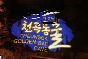 새롭게 단장된 ‘천곡황금박쥐동굴’ ... 내·외국인 모두를 위한 관광지로 거듭나,강원도 동해시