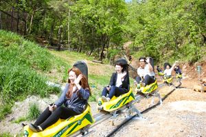 단양군, 추석연휴를 알차게! 관광객 발길 유혹∼