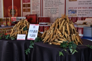 진~한 홍삼 맛보러 진안홍삼축제 오세요!