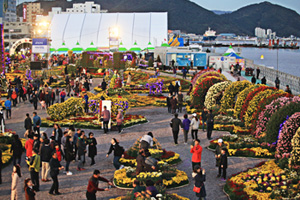 제19회 마산국화축제 오색 국화 향기에 물든 가을바다
