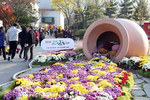 월출산 기찬랜드, 국화축제 26일“팡파르”