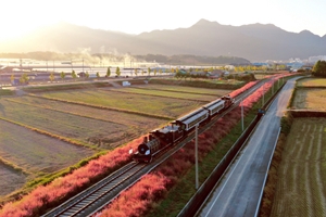 곡성섬진강기차마을, 15년 전에는 상상하지 못했던 신의 한 수