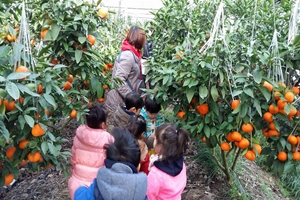 이천에서 귤도 따고, 만들기 체험도 즐기자!