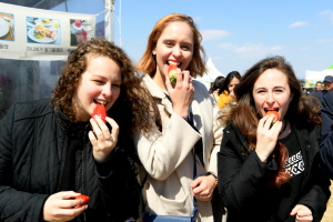 논산딸기축제, 예년보다 앞당겨 최고의 딸기 맛 선보인다 