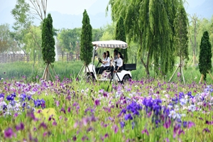 거창군, 힐링과 치유의 웰니스 관광도시로 도약