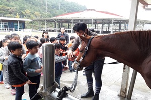 “즐거운 설 명절, 함안군승마장에 말과 함께”