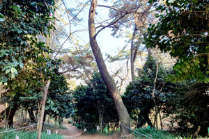 반월산에 서린 삶과 역사를 만나다, 회원1동 