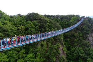 원주의 명물 소금산 출렁다리 재개장!