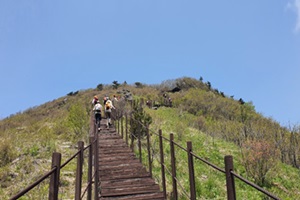 봄 정취 물씬∼ 단양 소백산행 인기!
