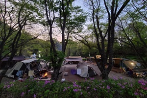 때 이른 무더위… 단양 캠핑장 큰 인기!