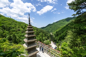 아리랑의 고장 정선 정암사 수마노탑 국보 제332호 승격