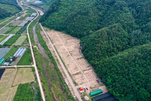 ‘신들이 내린 풍요’ 영동감따기 체험장 조성 완료