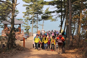 태안군, 솔향기길에서 ‘행복한 가을 산책’ 즐겨보세요!