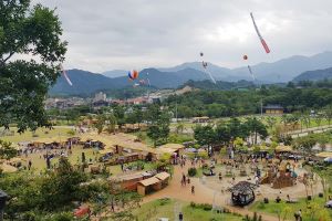 함양산삼축제 9월 2일~11일까지 열흘간 상림공원 일원서 열려