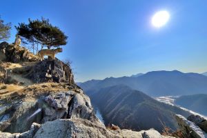 ‘드라이브도 하고, 인생샷도 찍고!’ 길 따라 떠나는 봉화 여행