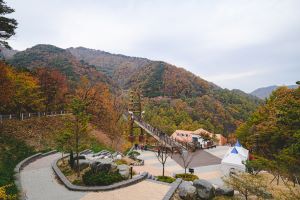 증평군 좌구산 휴양림,‘추천 웰니스관광지’2회 연속 선정