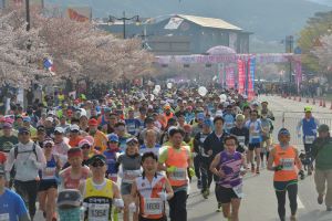 참가 열기 뜨겁다! ‘경주벚꽃마라톤대회’ 4년만에 정상 개최